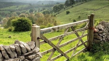 Será que todos os problemas do Comércio Exterior Brasileiro estão “da porteira para fora”?